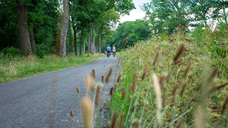 Gezellig fietsen in het groen
